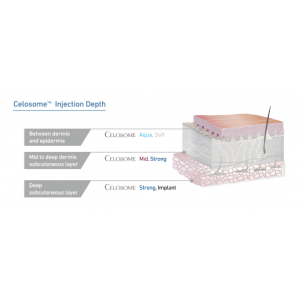 Celosome Cross-linked Hyaluronic acid dermal filler - 1.1ml Celosome Cross-linked Hyaluronic acid dermal filler - 1.1ml