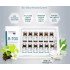 Matrigen B-TOX PROFESSIONAL -Peeling ONLY Korea - 12 pcs/1 box