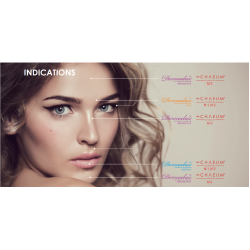 Chaeum Premium Cross-linked Hyaluronic Acid Filler 20 mg/mL - 1.1.mL*2 sy (2pcs) S.Korea Chaeum Premium Cross-linked Hyaluronic Acid Filler 20 mg/mL - 1.1.mL*2 sy (2pcs) S.Korea